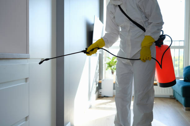Best Toxic Mold Removal  in Newton, NC