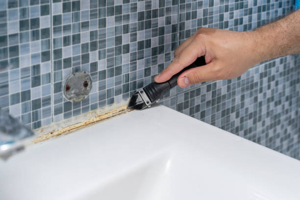 Trusted Newton, NC Mold Removal Experts