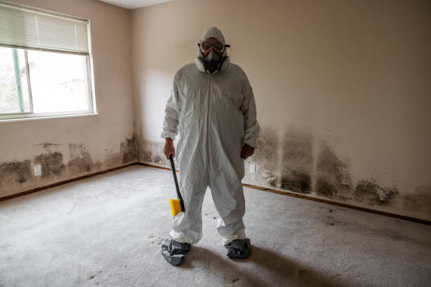 Best Commercial Mold Removal  in Newton, NC